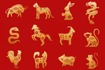 அதிசக்தி வாய்ந்த சீன ஜோதிடத்தின் படி 2022 இல் நீங்க பிறந்த ஆண்டுக்கு இவ்வளவு பவரா? டிராகன் ராசிக்கு  தன லாபம்!