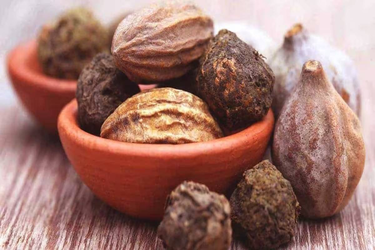 தொப்பை முதல் மலச்சிக்கல் வரை மருந்தாகும் கடுக்காய் - நன்மைகள் பற்றி தெரியுமா? | Kadukkai Benefits In Tamil