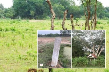 மயிலத்தமடு அத்துமீறிய காணி அபகரிப்புக்கு தமிழ்த் தேசிய இளைஞர் பேரவை கண்டனம்