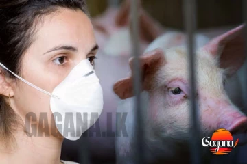 රුසියාවේ වෛරසය දැන් ලංකාවේද? - නවතම පර්යේෂණයක අනාවරණය!