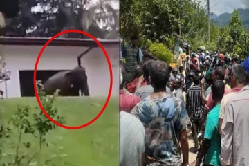 மஹிந்த குடும்பம் தொடர்பில் காட்டிக் கொடுத்த யானைக்குட்டி