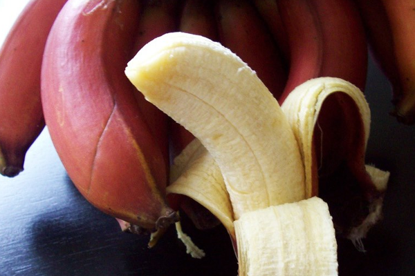 செவ்வாழைப் பழத்தில் இவ்வளவு நன்மைகளா? | Are There So Many Benefits To Marzipan