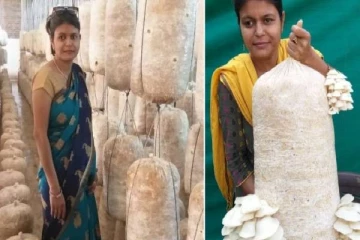 பேராசிரியை தொழிலதிபரான கதை! லட்சக்கணக்கில் மாத வருமானம்