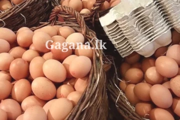 පහළ ගියපු බිත්තර මිලට, අලුත් අවුරුද්ද කිට්ටු කරලා ආයෙම වුණ දෙය?.