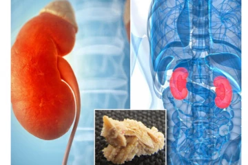 சிறுநீரக கல்லை கரைக்கும் வீட்டு வைத்தியம்