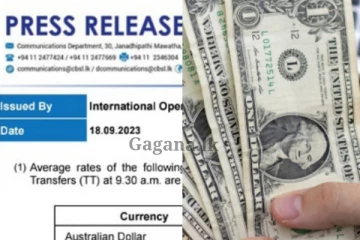 එකවරම ඩොලරයේ සුළු වෙනසක් - අද ඩොලරයට ලැබුණ විශේෂ වටිනාකම. (PHOTO)