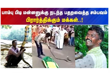 பாம்பு பிடி மன்னனுக்கு நடந்த பதற வைத்த சம்பவம் - பிரார்த்திக்கும் மக்கள்!