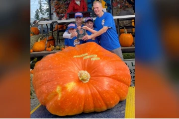 கனடாவில் இராட்சத பூசணிக்காய்!