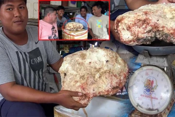 ஏழை மீனவரை கோடீஸ்வரன் ஆக்கிய திமிங்கலம்! மோசமான வானிலையால் அடித்த 50 கோடி ரூபாய் அதிர்ஷ்டம்