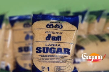 රතු සීනිවලට කෙලින්න සුදානමක්.... මෙච්චර ගානක් පාඩුයිලු