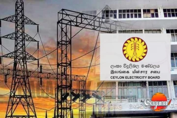 පාඩුයි කියලා හැමවෙලේම ලයිට් බිල වැඩි කරනවා...මණ්ඩලේ ලොක්කෝ ටික එකතුවෙලා දුන්න ගේම