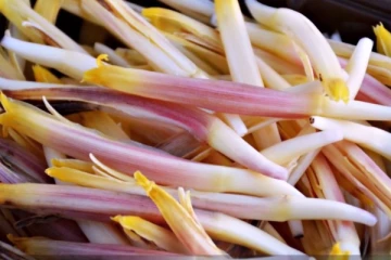 கொழுப்பை கரைக்கும் வாழைப்பூ துவையல் - 5 நிமிடத்தில் செய்து அசத்தலாம்