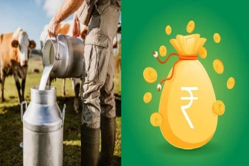 சொந்த தொழில் தொடங்கணுமா.. அரசு வழங்கும் ரூ.31 லட்சம் மானியத்தை பயன்படுத்துங்க