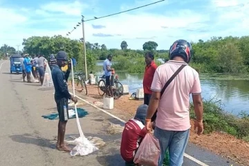 முல்லைத்தீவில் பெய்த கனமழை: வீதியில் குவிந்த மக்கள்! எதற்காக தெரியுமா?