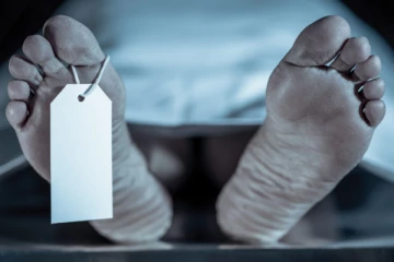 ஏணி முறிந்து விழுந்ததில் நபர் உயிரிழப்பு; காவலுக்கு சென்றவருக்கு நேர்ந்த துயரம்