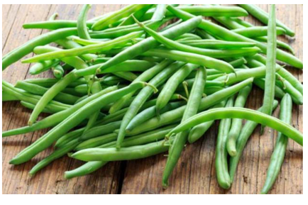 நீரிழிவு நோயாளிகளின் பல பிரச்சினைகளை தீர்க்கும் ஒரே ஒரு காய்: பலருக்கும் தெரிந்திடாத ரகசியம் | Diabetes Patient Eating Beans