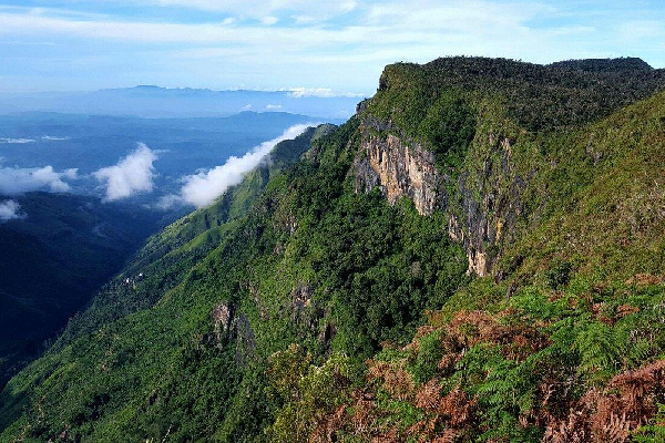 சுற்றுலா பயணிகளுக்காக திறக்கப்பட்டுள்ள தேசிய பூங்காக்கள் | National Parks And Bungalows Reopen சுற்றுலா பயணிகளுக்காக திறக்கப்பட்டுள்ள தேசிய பூங்காக்கள் | National Parks And Bungalows Reopen
