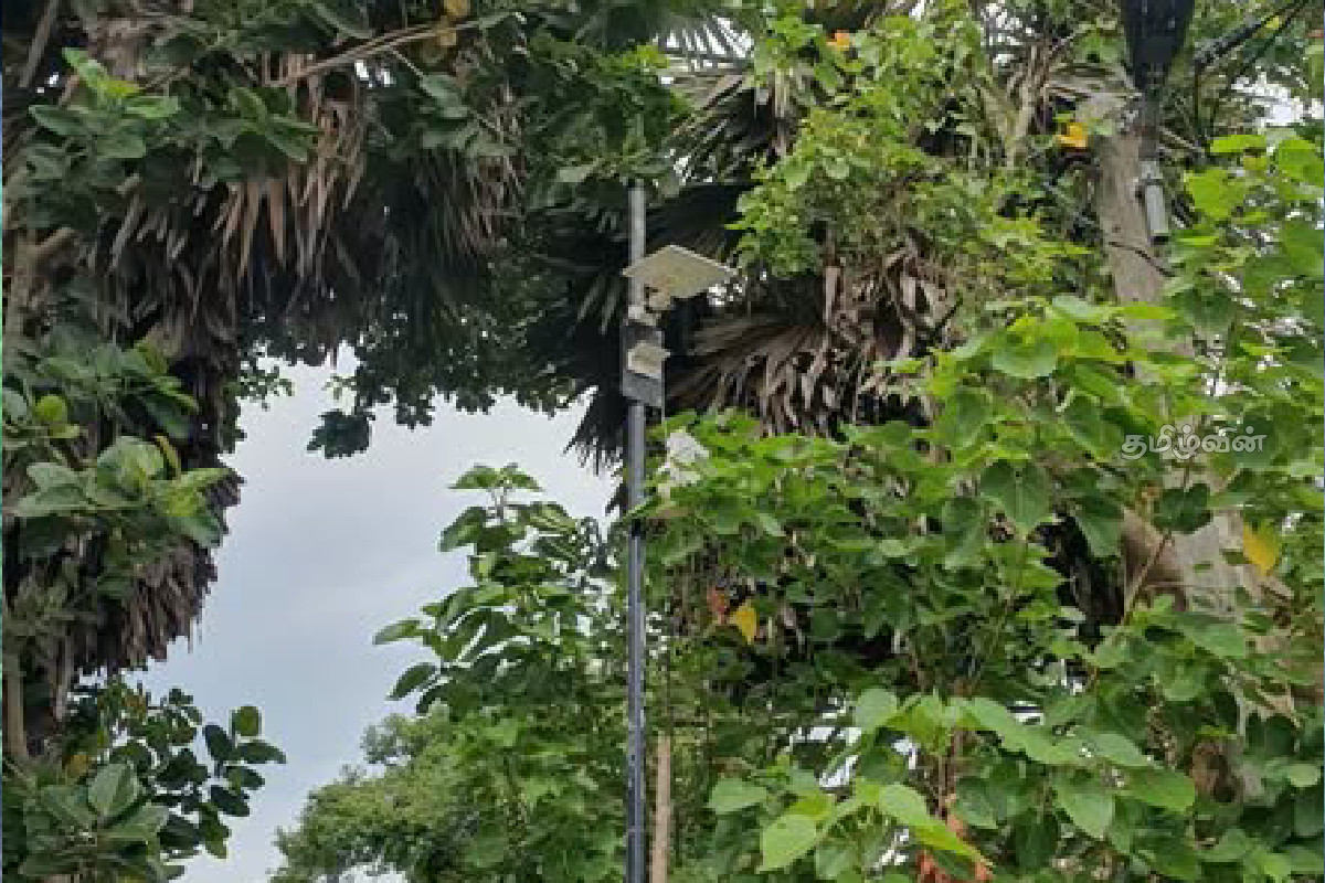 கண்காணிப்பு கமராவை சேதப்படுத்தியவர்களிடம் தண்டப்பணம் அறவிட்ட நல்லூர் பிரதேசசபை | Nallur Pradeshiya Sabha Fines Damaged Camera கண்காணிப்பு கமராவை சேதப்படுத்தியவர்களிடம் தண்டப்பணம் அறவிட்ட நல்லூர் பிரதேசசபை | Nallur Pradeshiya Sabha Fines Damaged Camera