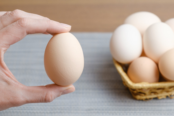 முட்டை விலை தொடர்பில் வெளியான முக்கிய அறிவிப்பு! | Important Announcement Regarding Price Of Eggs