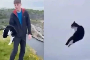 உயரமான மலை உச்சியில் இருந்து பூனைக்குட்டியை கீழே வீசிய பிரித்தானிய இளைஞர்!