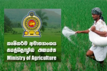 அரசின் விவசாயிகளுக்கான உர மானிய திட்டத்தில் குறைபாடு: விவசாய அமைச்சு குற்றஞ்சாட்டு