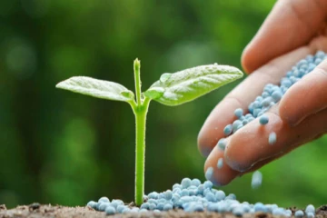 පොහොර වෙනුවට ගොවීන්ට මුදල්