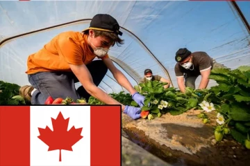 நான் எந்த வேலை என்றாலும் செய்யத் தயார் என்கிறீர்களா?: நீங்களும் கனடாவில் குடியமர சில வழிமுறைகள் இதோ...