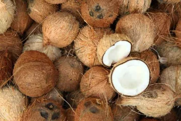 டிசம்பரில் நடந்த இரண்டாவது ஏலத்தில் இலங்கையின் சராசரி தேங்காய் விலை அதிகரிப்பு