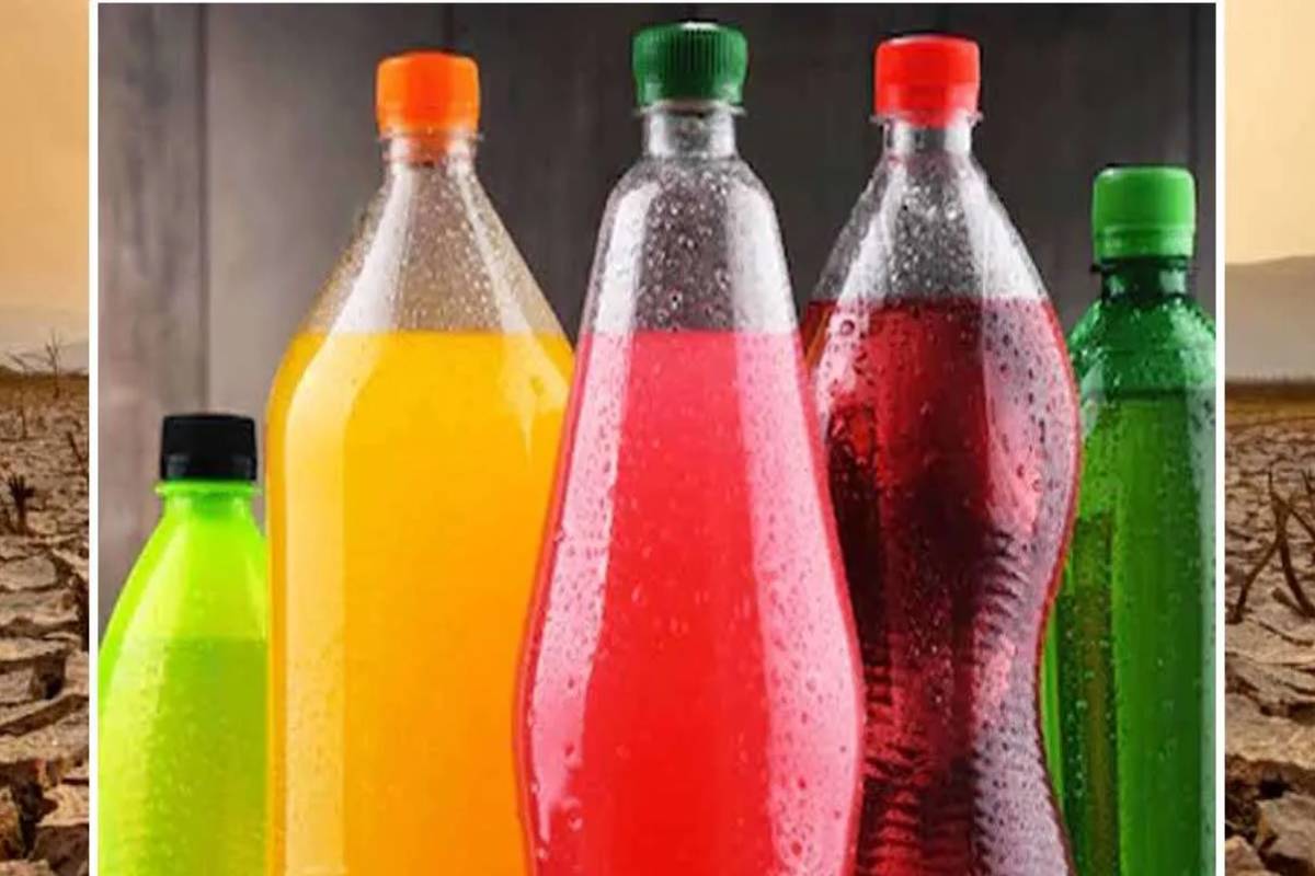 தீவிரமடையும் எல்நினோ தாக்கம் - இலங்கையர்களுக்கு சுகாதாரப்பிரிவு விடுத்துள்ள அவசர எச்சரிக்கை | Drinking Alcohol During El Nino Heatwave Is Deadly தீவிரமடையும் எல்நினோ தாக்கம் - இலங்கையர்களுக்கு சுகாதாரப்பிரிவு விடுத்துள்ள அவசர எச்சரிக்கை | Drinking Alcohol During El Nino Heatwave Is Deadly