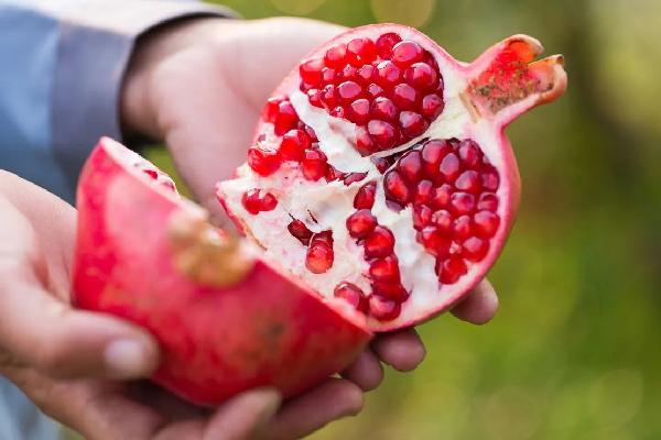 இலங்கையில் கண்டுபிடிக்கப்பட்ட இரண்டு மாதுளை இனங்கள் | Successful Results 2 Pomegranate Varieties Tested