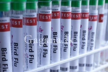 කොවිඩ් සමය වැනි කාලයක් නුදුරේම විශේෂඥයින් අනතුරු අඟවයිව..