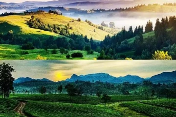 ஊட்டி, கொடைக்கானல் போறீங்களா?அப்போ இது அவசியம்..நீதிமன்றம் அதிரடி உத்தரவு!