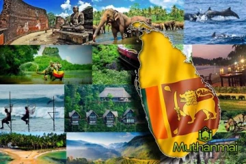 இலங்கைக்கு வருகை தரும் சுற்றுலா பயணிகளின் எண்ணிக்கையில் ஏற்பட்டுள்ள மாற்றம்!