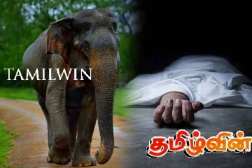 யானை தாக்கி கடற்தொழிலாளர் மரணம்