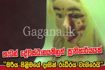 දේවස්ථානයකිනුත් ප‍්‍රාතිහාර්යයක් - තවත් මරිය පිළිමයකින් රුධිරය වැගිරෙයි. (VIDEO)
