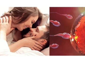 கர்ப்பம் தரிக்கத் எத்தனை முறை செய்ய வேண்டும்..? எப்போது செய்ய வேண்டும்..? அவசியம் தெரிஞ்சிகோங்க!