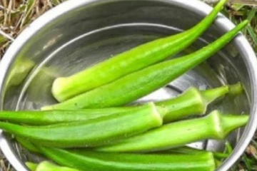ஊறவைத்த வெண்டைக்காய் தண்ணீர் குடிப்பதனால் ஏற்படும் நன்மைகள் என்னென்ன தெரியுமா?