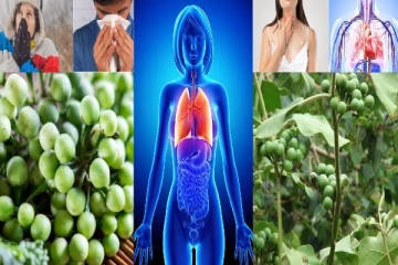 சுண்டைக்காய்க்குள் மறைந்திருக்கும் ரகசியம்...இனிமேல் தவிர்க்காதீர்கள்