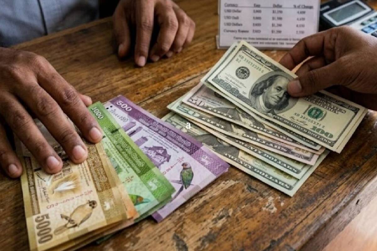 வேகமாக உயர்ந்த டொலர் விலையில் இன்று மாற்றம்..! | Today Dollar Rate In Srilanka