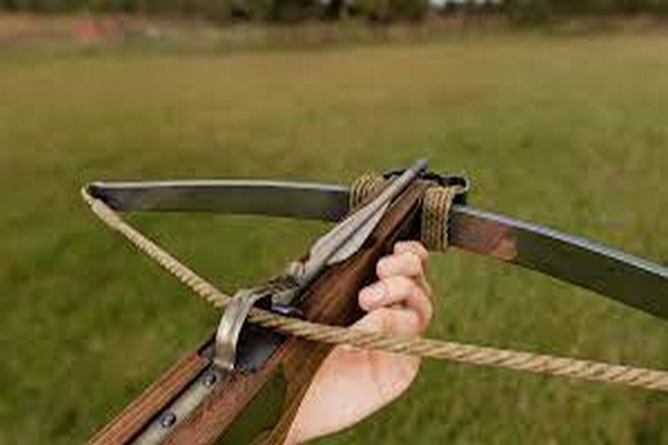 கனடாவில் ஒருவர் மீது விசித்திரமான தாக்குதல் | Man Shot By Crossbow On Vancouver