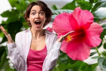 விலைமதிப்பற்ற இந்த செம்பருத்தியில் இத்தனை நன்மைகளா?