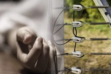 மின் கம்பியில் சிக்கி நபரொருவர் பலி ; தீவிரமாகும் விசாரணை