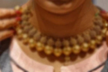 எரிபொருளுக்காக காத்திருந்த பெண்ணிடம் கைவரிசை