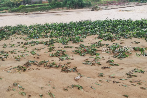 தித்வா புயலின் கோரச் சீற்றம்: காணாமல் போகும் அபாயத்தில் இரண்டு கிராமங்கள் | Disaperaing Tw Villages