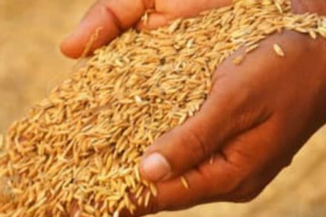 நாட்டில்  விலை அதிகரிக்கவுள்ள மற்றொரு பண்டம்