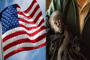 அமெரிக்காவில் சிசேரியன் மூலமாக பிறந்த 'குட்டி' கொரில்லா