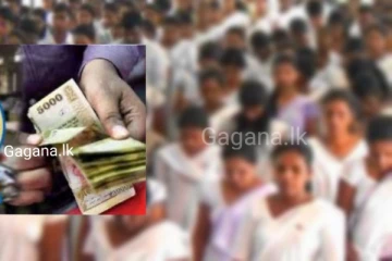 රට පුරා ගුරුවරුන් පිරිසකට රුපියල් 7500ක විශේෂ දීමනාවක්..ලැබෙන පිරිස මෙන්න.