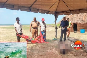 මුහුදේ පාවී ආ බෝතලයක් බී මියගිය ධීවරයින්ගේ මරණ ගැන විවෘත තීන්දුවක්