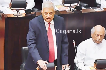 වහාම ක්‍රියාත්මක වන පරිදි ජනපති විසින් ඇමතිවරු දෙදෙනෙක් පත් කරයි..