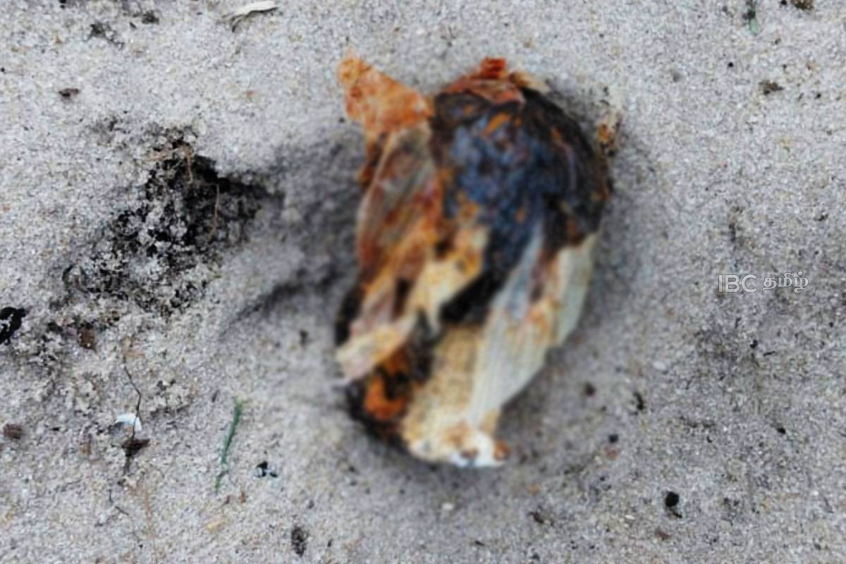 மட்டக்களப்பில் கைவிடப்பட்ட நிலையில் கைக்குண்டு மீட்பு! | Hand Grenade Recovered In Eravur Aayankerni